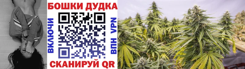 Купить наркотики сайты Ильский МЕТАДОН Alpha-PVP АМФ COCAIN МЕФ Канабис