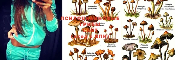 гашишное масло Абдулино