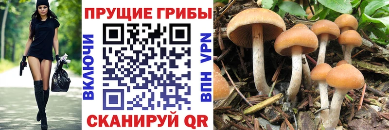 Галлюциногенные грибы ЛСД  Ильский 